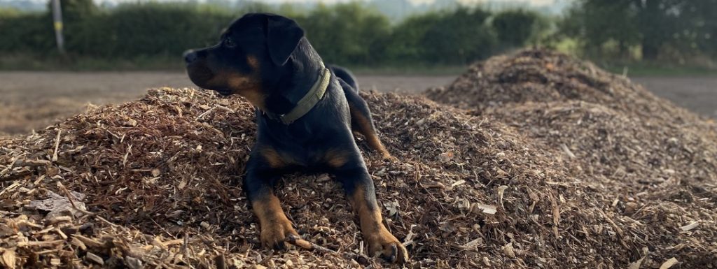 Woodchip mulch