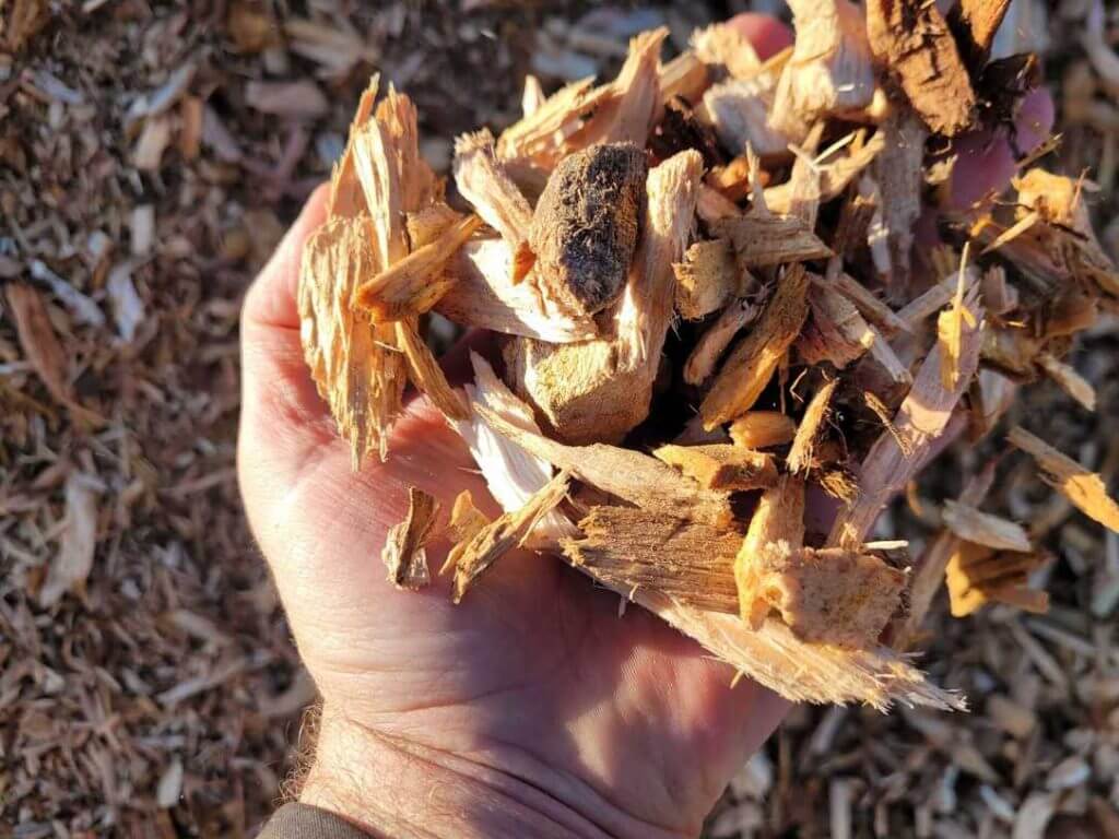 Firewood