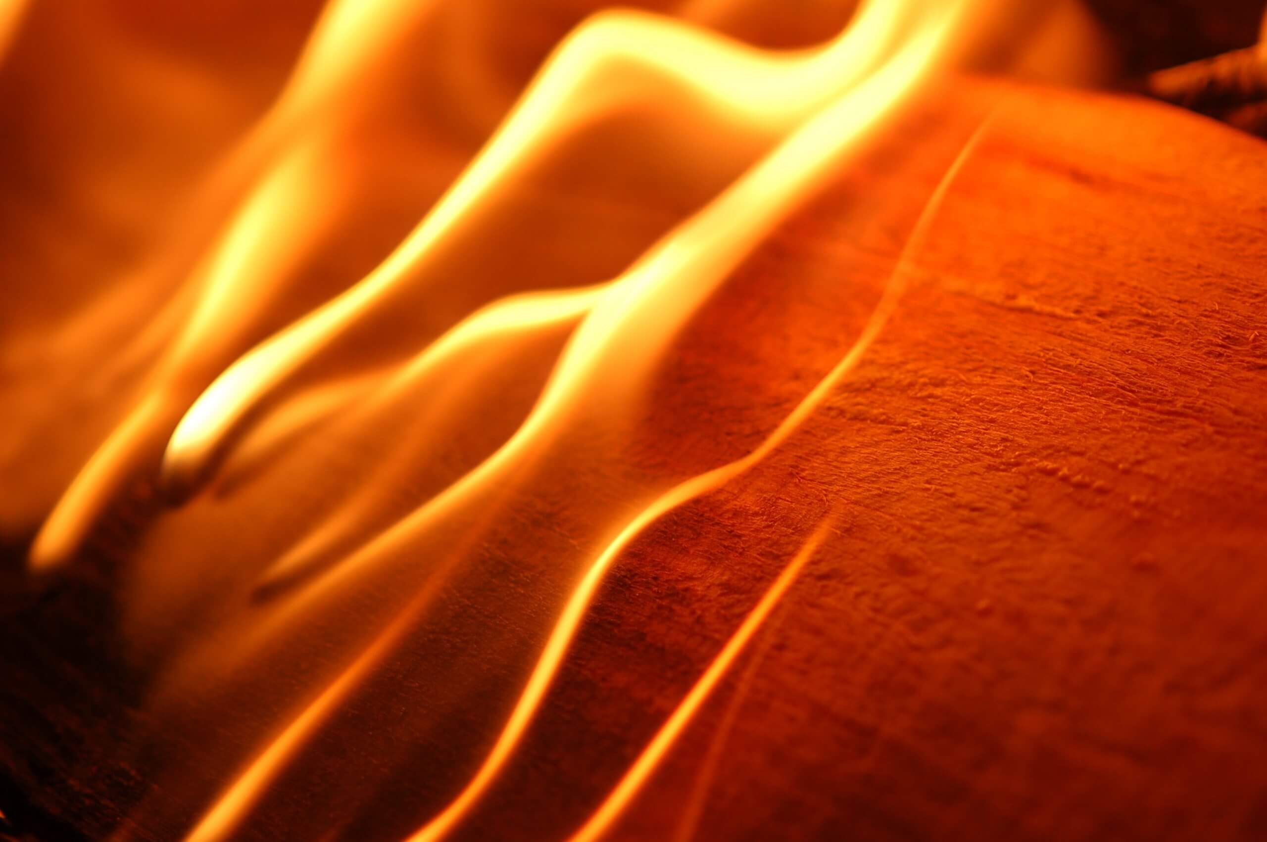 Burning Log