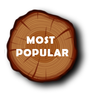 Most Popular