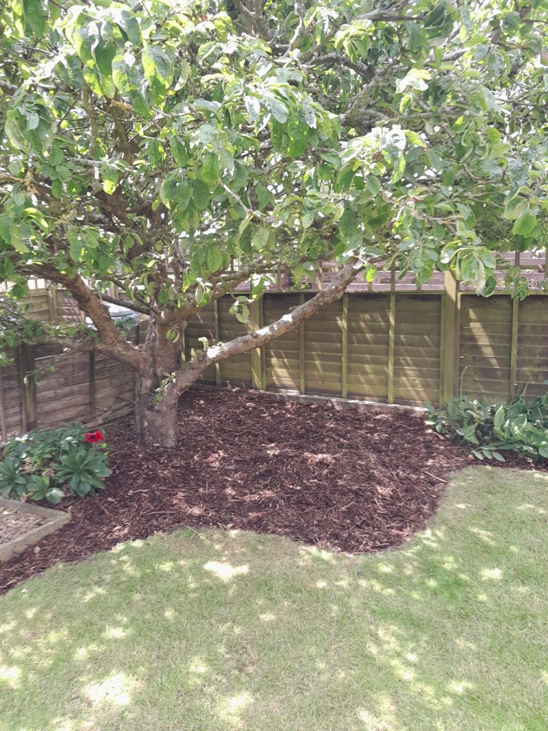 Woodchip Mulch - Image 5