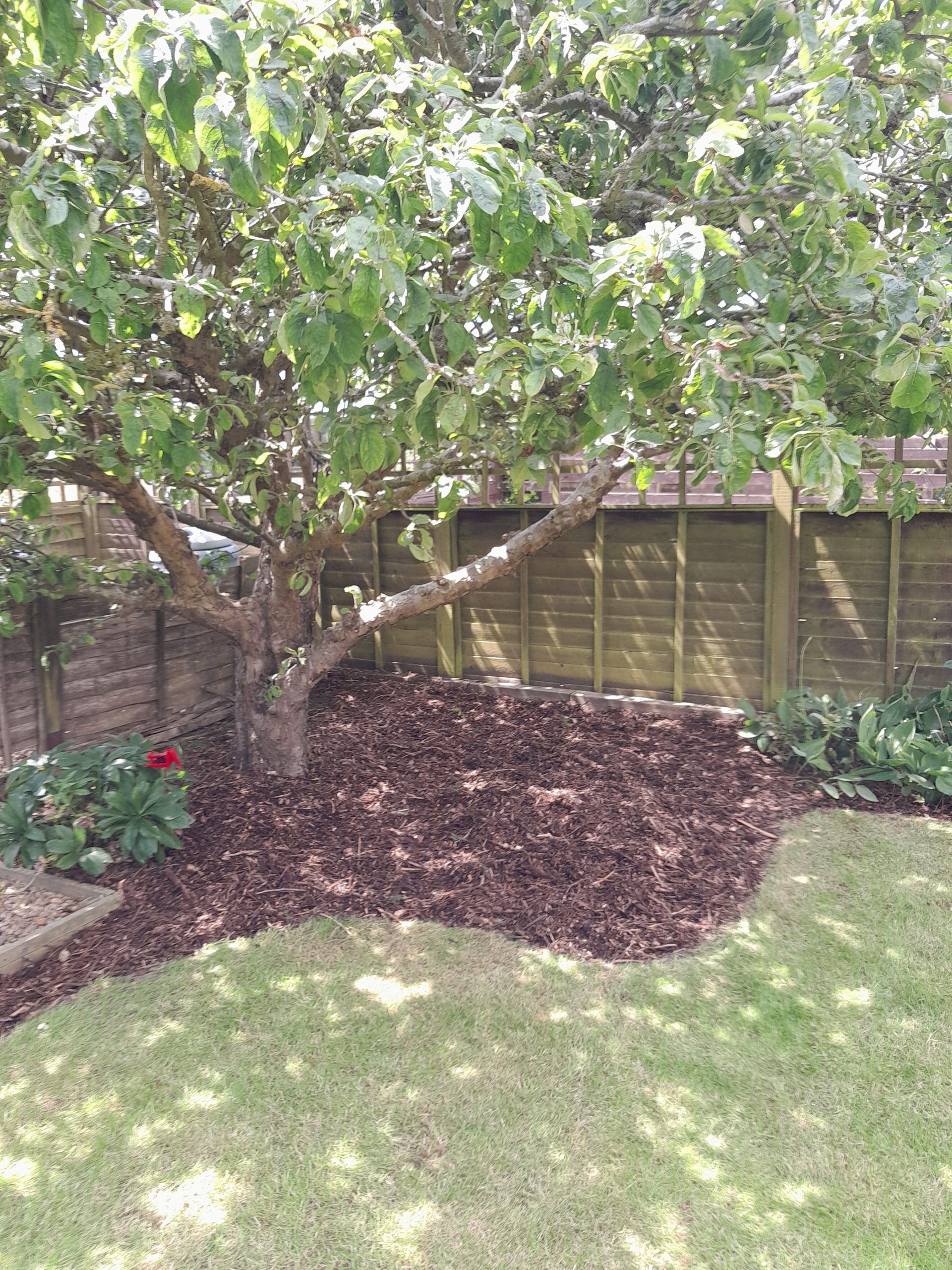 Garden Mulch